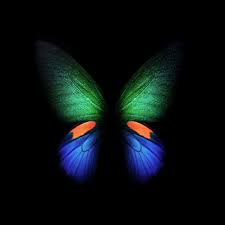 Butterfly 4k Wallpaper Samsung Galaxy Fold Black Background Stock Black Dark 1401 Find the perfect butterfly stock photos and editorial news pictures from getty images. butterfly 4k wallpaper samsung galaxy