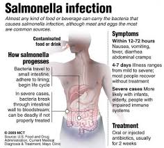 Salmonella Infection Chart Salmonella Symptoms Food