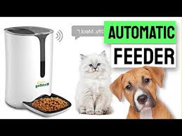 Pin By Sarah Tracey On Best Pet Feeder For Dogs Cats Reviews In 2020 Pet Feeder Auto Cat Feeder Food Animals