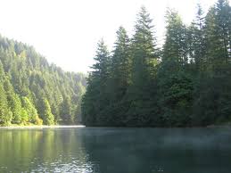 Foster Lake Sweet Home Oregon Oregon Waterfalls Oregon Travel Oregon