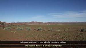 Capsule Didactique 4 Version Arabe Sous Titree Francais Et Anglais Youtube Dans la collection doc flap, voici le numéro consacré aux animaux de la savane africaine. capsule didactique 4 version arabe sous titree francais et anglais