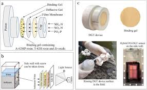 December 09, 2019 by digital game technology. A New Dgt Technique Comprised In A Hybrid Sensor For The Simultaneous Measurement Of Ammonium Nitrate Phosphorus And Dissolved Oxygen Sciencedirect