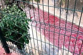 It is located on the anillo periférico and boulevard río de los remedios in the colonia valle de aragón 2a. Se Tine De Rojo El Rio De Los Remedios