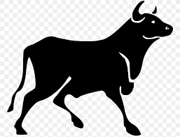 Download free cows wallpapers and desktop backgrounds! Brahman Cattle Bull Clip Art Png 768x624px Cattle Black Black And White Brahman Cattle Bucking Bull
