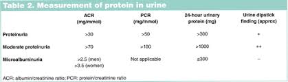 Proteinuria means that an abnormal amount of protein is present in the urine. Management And Treatment Of Proteinuria Nurse Prescribing