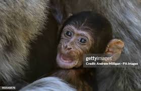 1,227 Outer Park Stock Photos, High-Res Pictures, and Images