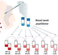 Proteotyping SARS-CoV-2 Virus from Nasopharyngeal Swabs: A ...