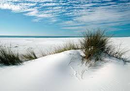 Pin By Laurie Aronovici On Beach Destinations Usa Florida Beaches Florida Travel Santa Rosa Beach Florida