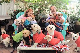 Maybe you would like to learn more about one of these? Home