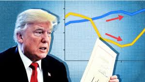 Elite Adviser: Brian Strachan