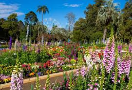 Tourism And Events Queensland Secures Toowoomba Flower Festival For Another Five Years Australasian Leisure Management