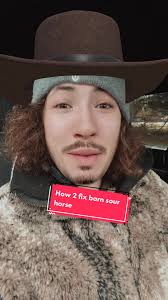 Cómo arreglar un caballo barn sour