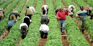 Telefon 0744398799.societate comercială angajează agent de vânzări. Locuri De Munca Strainatate Agricultura CasÄƒ La È›arÄƒ Pentru O Familie