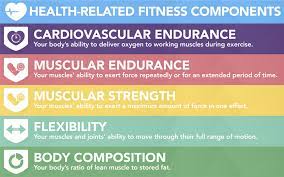 To answer this question, investigators have studied three main kinds of physical activity: Components Of Health Related Fitness Demo My Online Learning System Best Lms
