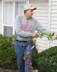 Wabash Day Enriches Communities