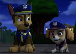 Paw Patrol Chase And Skye In 2021 Paw Patrol Pups Chase Paw Patrol Paw