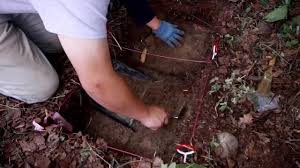 Uncovering History: Archeology Field School in Talkeetna, Alaska