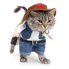 Cowboy Dog Costume With Hat Dog Clothes Halloween Costumes For Cat And Small Dog Cowboy Dog Costume Cat Halloween Costume Cat Costumes