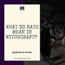 What Do Rats Mean In Witchcraft Symbolism Dreams In 2020 Witchcraft Spiritual Meaning Dream Meanings