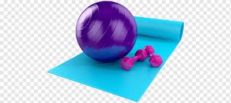 Maybe you define it by how physically fit you are, how mentally strong you are, or maybe it is a measure of your positive emotions. Yoga Pilates Mats Narayana Fitness Centre Aerial Yoga Purple Blue Physical Fitness Png Pngwing