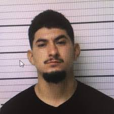 Niles' Year In Review