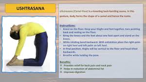 Bring your hips forward so that they stay above the knees. India In Germany Consulate General Of India Frankfurt Facebook