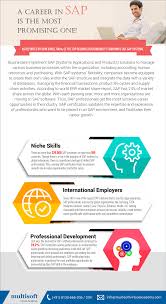A Career In Sap Is The Most Promising One Multisoft Virtual Academy Blog Sap Virtual Academy Business Process