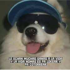 We did not find results for: El Muchacho De Los Ojos Tristes Facebook
