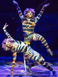 Hector jaime mercado, stephen hanan, steven. 200 Cats The Musical Ideas In 2021 Jellicle Cats Cats Musical Cats