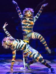 Cats was the 1983 tony award winner for best musical. 200 Cats The Musical Ideas In 2021 Jellicle Cats Cats Musical Cats