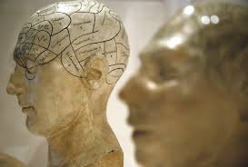 Most research has pointed to the learning and memory hub of the brain, known as the hippocampus, and the surrounding brain regions. The Secret Of How We Retrieve Memories Has Been Unlocked World Economic Forum