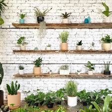 City sightseeing trolley tour with riverboat cruise. Stump 26 Photos Nurseries Gardening 1612 Bull St Savannah Ga Phone Number Yelp