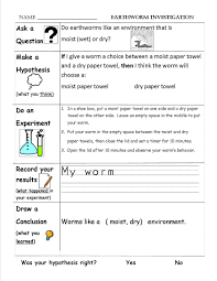 First Grade Shenanigans Scientific Method Scientific Method Worksheet Scientific Method Printable Scientific Method