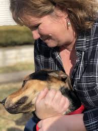 Maybe you would like to learn more about one of these? Dog Rescue Volunteer Volunteer Hartford Ct Dog Star Rescue