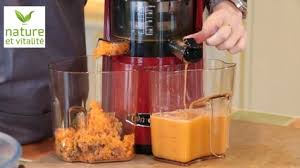 Utiliser La Pulpe De L Extracteur De Jus 10 Conseils Pratiques