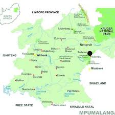 Image result for Viscum shirense