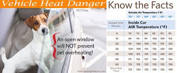 Heat Warning Dog Safety Tips Vehicle Temperature Chart