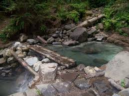 We did not find results for: Hot Springs Of Oregon Road Trip Oregon