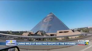We did not find results for: 5 Star Stories Bass Pro Shops At The Pyramid A 535 000 Square Foot Outdoorsman S Paradise