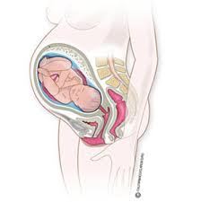 .a 18 semanas de vida para el bebé, pero a cuantos meses equivalen esas semanas, teniendo en cuenta que las semanas de embarazo no se cuentan embarazo y gestación son utilicizados como sinónimos en medicina para referirse al tiempo que va desde la fecundación hasta el nacimiento del. Embarazo Semana A Semana Controla Tu Gestacion Natalben