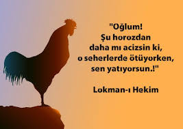 Dini Sozler Guzel Sozler 2020 Tintin Guzel Soz Ozlu Sozler