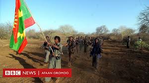 Adda Bilisummaa Oromoo: ''Waraana dhaabne malee hin hiikkachiisne'' - BBC  News Afaan Oromoo