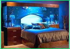 Inilah aquarium mini unik berbentuk rumah untuk ikan hias , harganya murah meriah gak bikin. 12 Gambar Akuarium Unik Dan Keren Anti Mainstream Dunia Fauna Hewan Binatang Tumbuhan Dunia Fauna Hewan Binatang Tumbuhan
