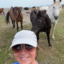 Lumsden, NL Connect!