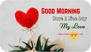 I am blessed to have you in my life. Good Morning Wishes For Boyfriend In English Yoolyrics