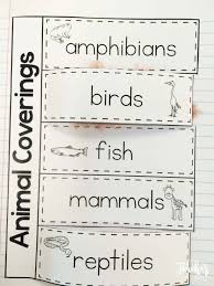 Animal Classification Animal Classification Classifying Animals Animal Classification Worksheet
