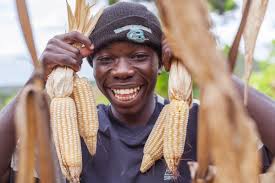 Photo Friday: Our top 5 “autumn” photos!