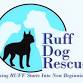 Ruff Dog Rescue Adoption Event — Ruff Dog Rescue event in Alpharetta, GA