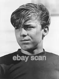 LUKE HALPIN HANDSOME FLIPPER 8X10 PHOTO SF