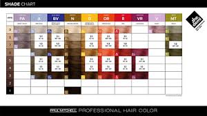 3 X Paul Mitchell The Demi Demi Permanent Hair Color 60ml